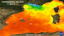 Illustration de l'actualité Une baignade à 14-15°C sur le littoral méditerranéen !