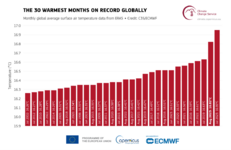 Illustration de l'actualité Août 2023 : deuxième mois le plus chaud à l'échelle mondiale