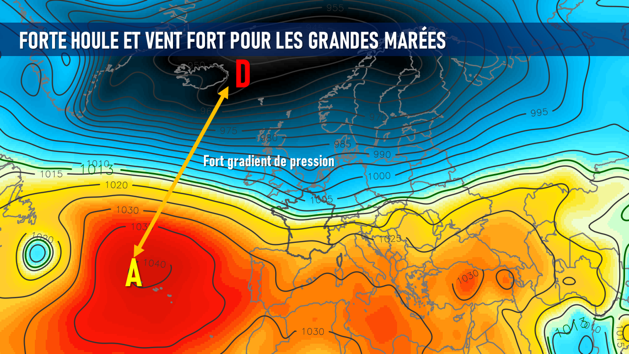 Image sans légende